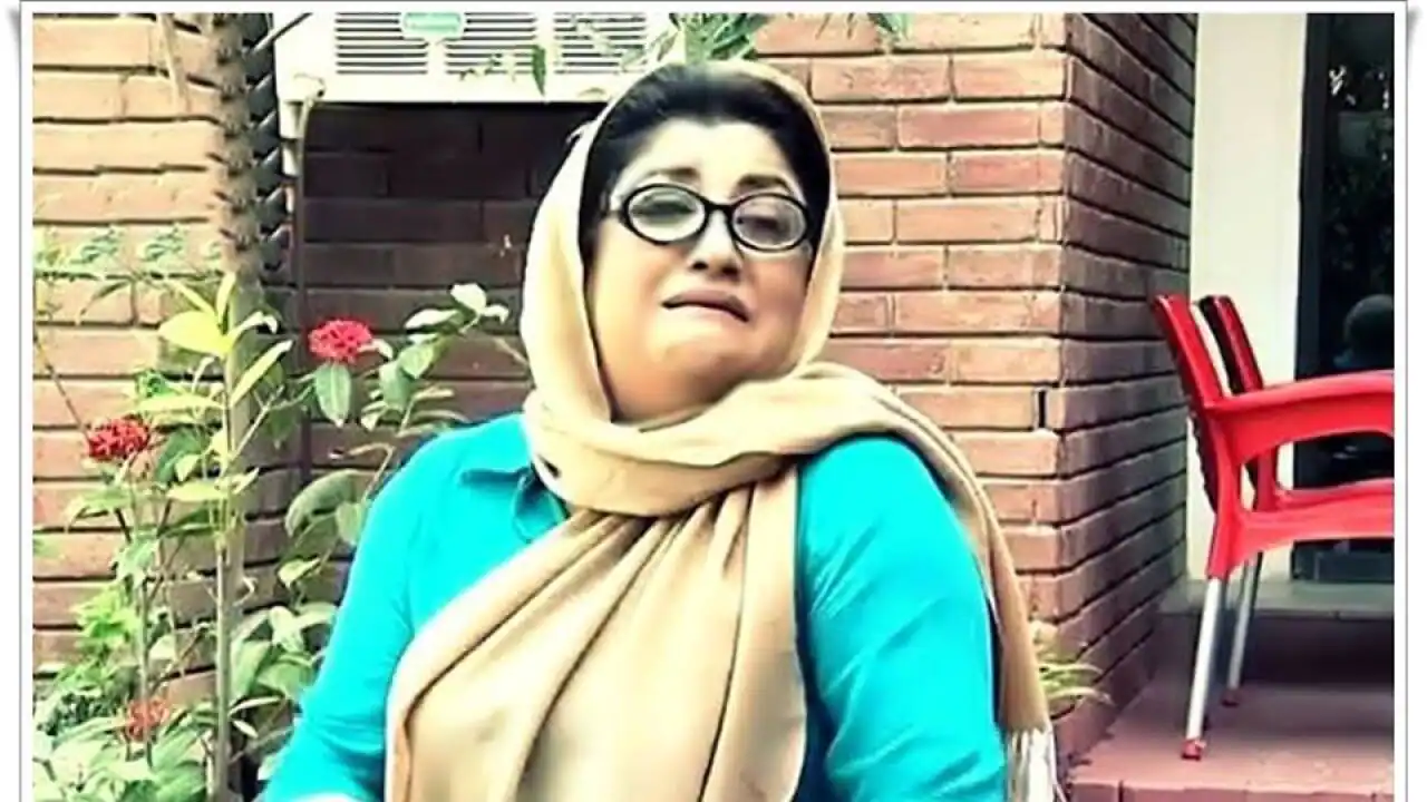 Hina Dilpazeer Reveals Contractual Limitation on Momo's Character