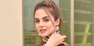 Komal Meer Breaks Silence on Cosmetic Surgery Rumors