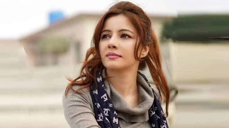 Rabi Pirzada's Perspective on Rahat Fateh Ali Khan’s Controversial Video"