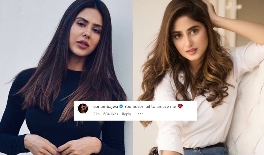 Sonam Bajwa Praise Sajal Aly's Talent and Achievement