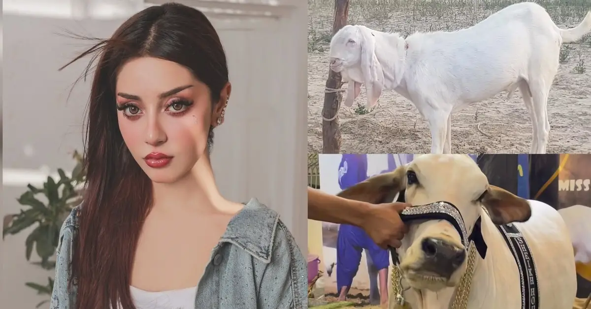 Alizeh Shah’s Take On Qurbani On Eid Ul Adha