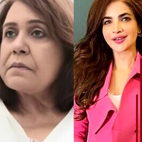 Pakistani Showbiz Figures We Lost in 2025