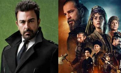 shaan shahid