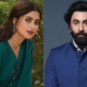 sajal